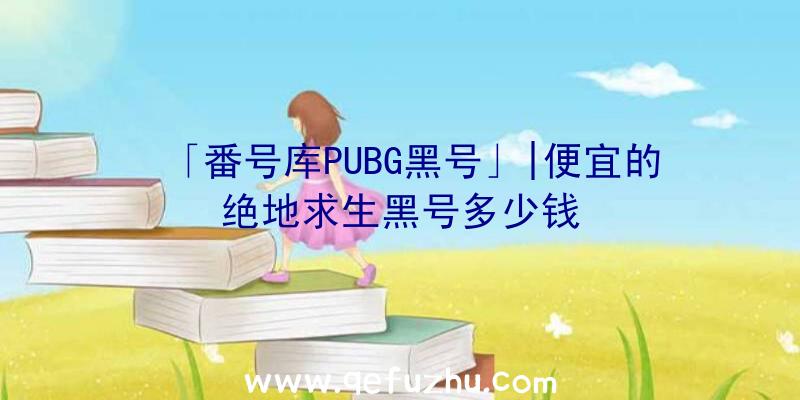 「番号库PUBG黑号」|便宜的绝地求生黑号多少钱